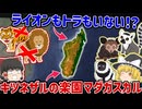 なぜマダガスカルにライオンがいない？孤立が生んだ“キツネザルの楽園”の正体【ゆっくり解説】