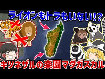 なぜマダガスカルにライオンがいない？孤立が生んだ“キツネザルの楽園”の正体【ゆっくり解説】