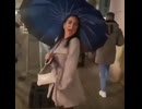 やじゅまんと見るか座