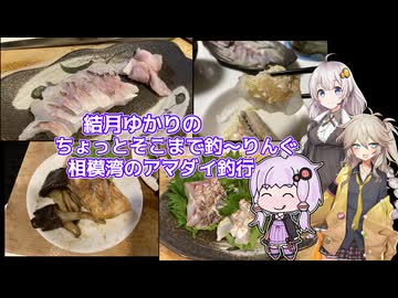 ちょっとそこまで釣～りんぐ 相模湾 アマダイ釣行【結月ゆかり】