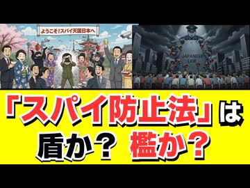 【徹底討論】なぜ日本だけ法律がない？スパイ防止法は本当に必要なのか？ずんだもんとめたんが解説