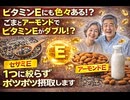 一概にビタミンEと言っても それぞれ様々なビタミンEがあるんだね ごまとアーモンドでビタミンEがダブルんでアーモンドミルクやめようかと思ったが ポツポツ摂取することにします