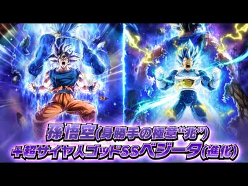 【ドッカンバトル11周年】絶対的強者への挑戦 孫悟空(身勝手の極意“兆”) +超サイヤ人ゴッドSSベジータ(進化)【LR】バトルモーション