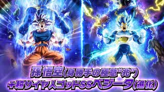 ドッカンバトル11周年】絶対的強者への挑戦 孫悟空(身勝手の極意“兆