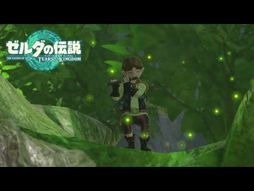 【ゼルダの伝説 ティアーズ オブ ザ キングダム】女神の剣は王国と共に泣く#48