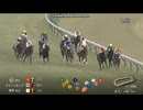 2026 デイリー杯クイーンC (GⅢ)　 ドリームコア