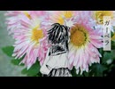 【重音テト】ガーベラ