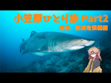 【旅動画】小笠原ひとり旅　Part2～遭遇、絶滅危惧種編～