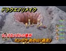 ドラクエ７リメイク　ちいさなメダルの場所　エンゴウ 炎の山（過去）　＃２５３　【Reimagined】