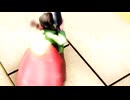 چۆچەك، توقۇق، باقا، كانگۇرۇ، قارا سۆڭەك دېكىلەر. вит