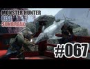 はじめてのモンハンを夜な夜な実況#067