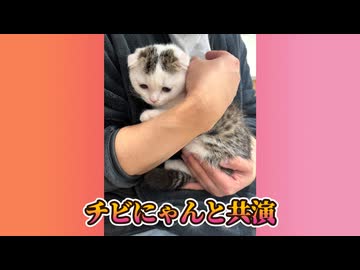 底辺の日常雑談と近況報告