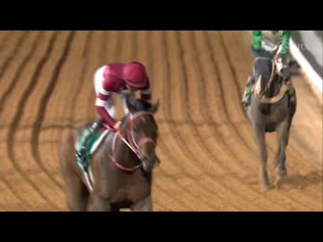 2026 サウジカップ