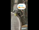 実は小心者にしたのは飼い主かも□