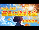 「茜色に染まる空」はれたび　hare_tabi
