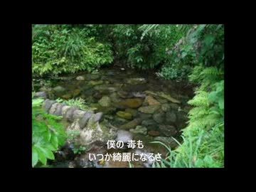 ウンディーネ/MEIKO