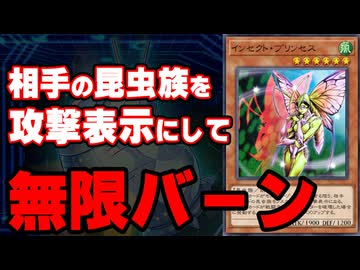 ピンポイント過ぎる効果を持つ「インセクト・プリンセス」で先攻ワンキルを決められた決闘