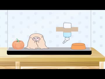 ｽﾋﾟｷと初心者6（終）