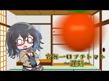 宮舞一口プチトマト 15粒目