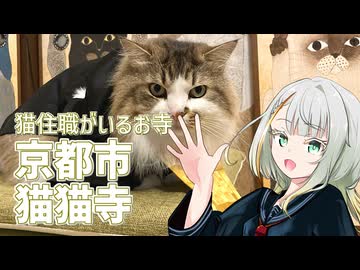 猫いっぱいのお寺に行こう！！【紡乃世ことねのことちゃんねる】