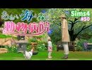 【Sims4】あおい海と森の動物病院 Part50【茶番ありゆっくり実況】