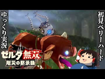 『初見ベリーハード#29』ベリハで怨念のガーディアンを次々に葬っていく100年前リンク【ゼルダ無双厄災の黙示録/ゆっくり実況】