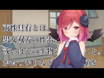 両性具有ってなんだ？【ソフトウェアトーク劇場】