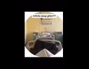 無限睡眠グリッチ？T_T
