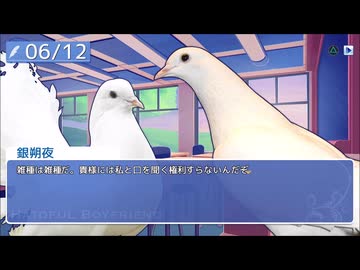 【ゲーム実況】いろんなハトとハートフルな日々を過ごそう会　9羽目