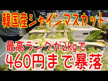 韓国産シャインマスカットが大暴落！特等級2kg1箱が平均460円【きょうの気になる詩。】