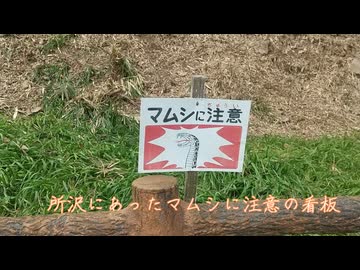佐竹健『所沢にあった「マムシに注意」の看板』（2023 エッセイ）【朗読：春日部つむぎ】