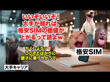【格安SIM】安さのメリット消滅で解約ラッシュ！？大手キャリアの逆襲で虫の息になった通信サービス #猫マニ #猫ミーム