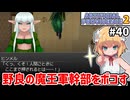 【Artificial Providence 2 #40】[調査依頼][vsヒンメル]浮いてる奴は風魔法と投擲でボコボコよ～【ずんだもん実況】