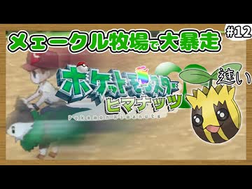 【ポケモンXY】ヒマナッツがひんしになったら『現実で向日葵を育てる縛り』（Part⑫）