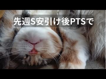 【NISAで利確】#4 とろい私の株生活