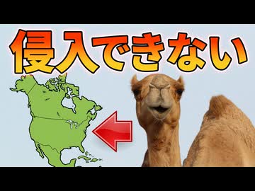 乾燥地最強のラクダが北米の砂漠に定着できなかった理由【生物解説】
