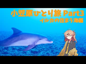 【旅動画】小笠原ひとり旅　Part3～イルカの住まう海編～