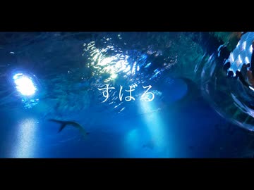 僧帽筋太郎 feat. 音街ウナ - すばる(Lyric Video)