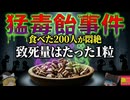 【1856】砂糖の代わりに『5kgのヒ素』…街を地獄に変えた『ブラッドフォード毒菓子事件』を解説