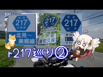 【ついなちゃん車載】都道府県道217号巡礼の旅に付き合わされるついなちゃん 第二夜【ついなの日】