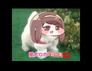 愛犬ロボ　「ローネ」