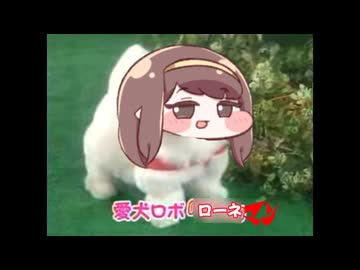 愛犬ロボ　「ローネ」