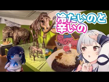 【そるとする】冷たいのと辛いの【ぬぬりっか車載】