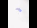 や じ ゅ ま ん と 見 る撮影