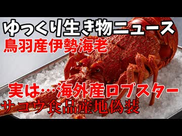 【ゆっくり生き物ニュース】産地偽装！伊勢海老？いいえ海外産ロブスター！サコウ食品産地偽装問題