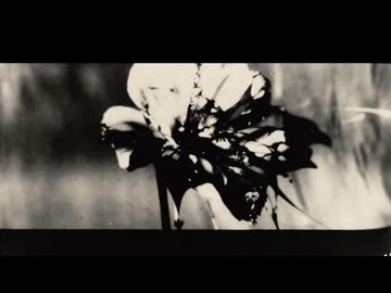 『ハクジョウ』feat.初音ミク