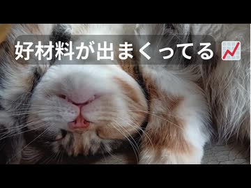 【サテライト口座でお宝発見】#5 とろい私の株生活