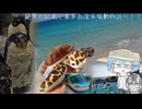 絶景の紀南！串本白浜水族動物巡り！！