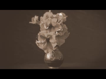 【誰得？】高橋真梨子の「桃色吐息」を歌ってみてもらった
