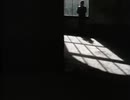 Suzanne Vega - Left Of Center